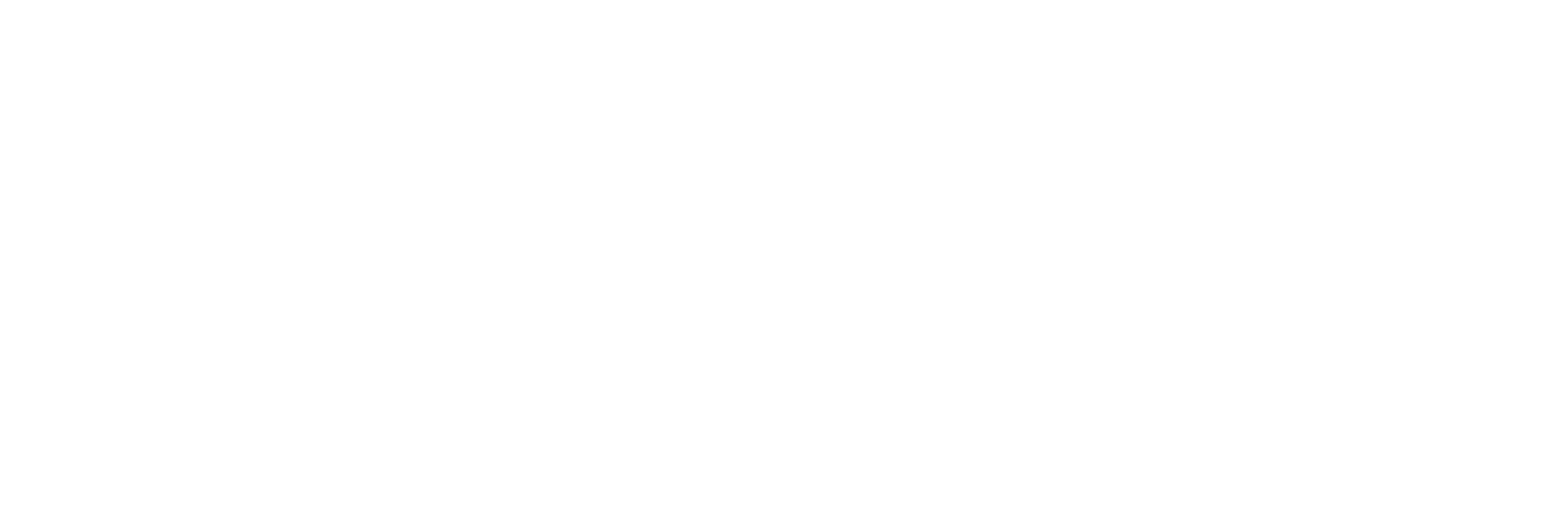 logo img